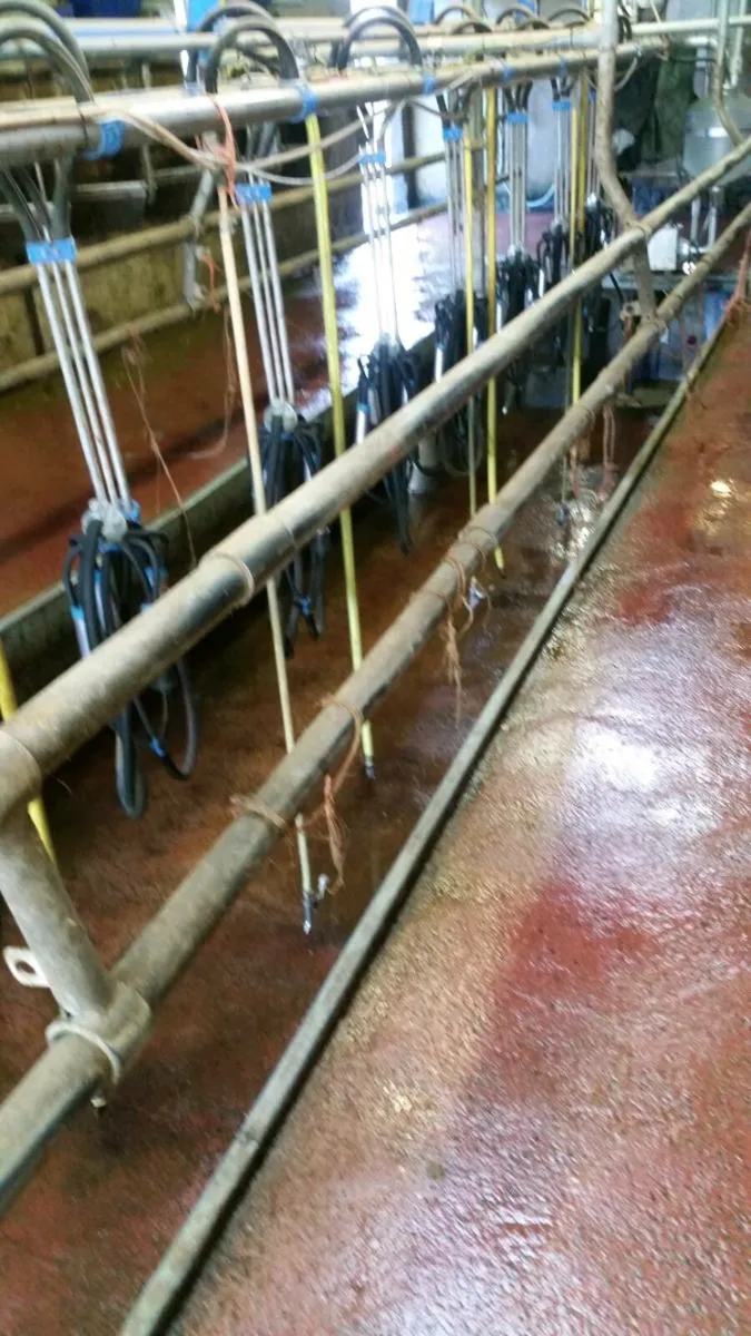 Milking parlour - Image 3