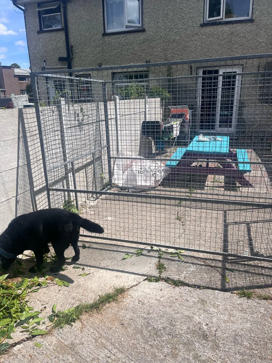 Dog run - Image 1