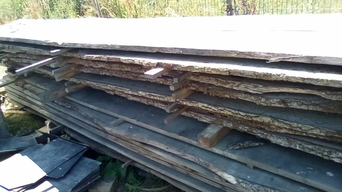 timber - Image 1