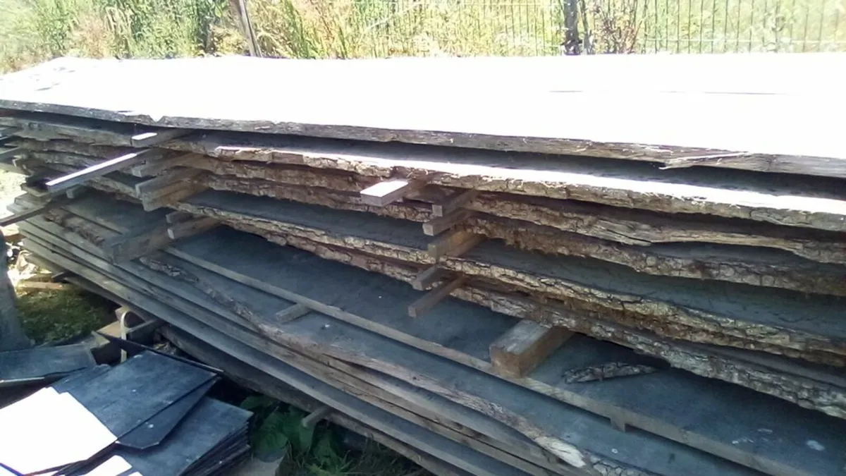 timber - Image 2