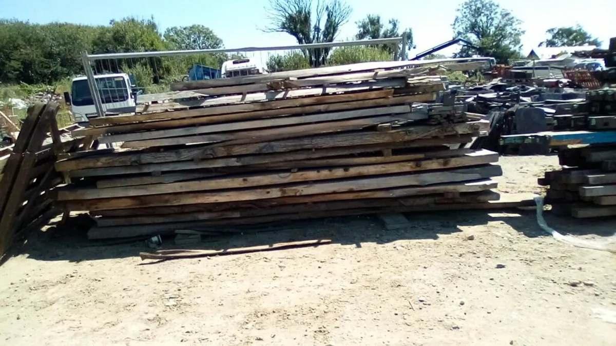 timber - Image 3