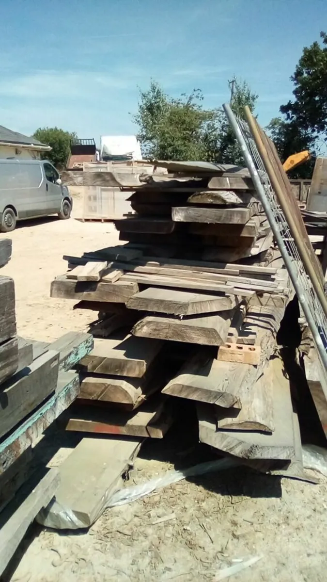 timber - Image 4