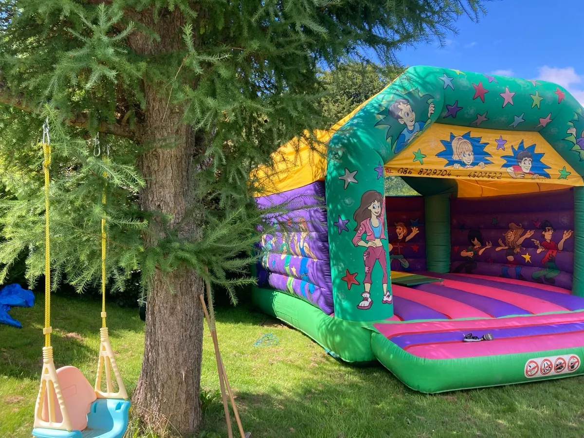 Bouncy Castle - Image 4