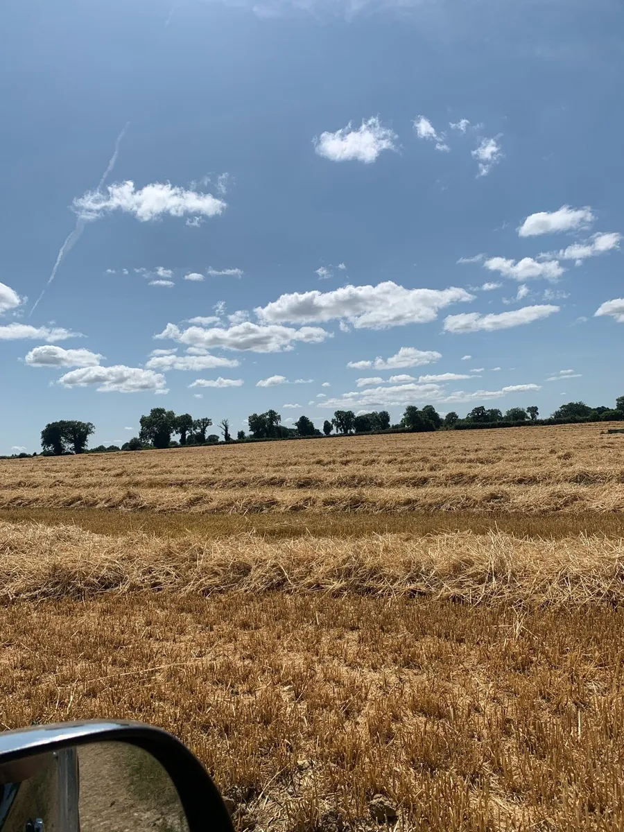 Small square bales of straw
