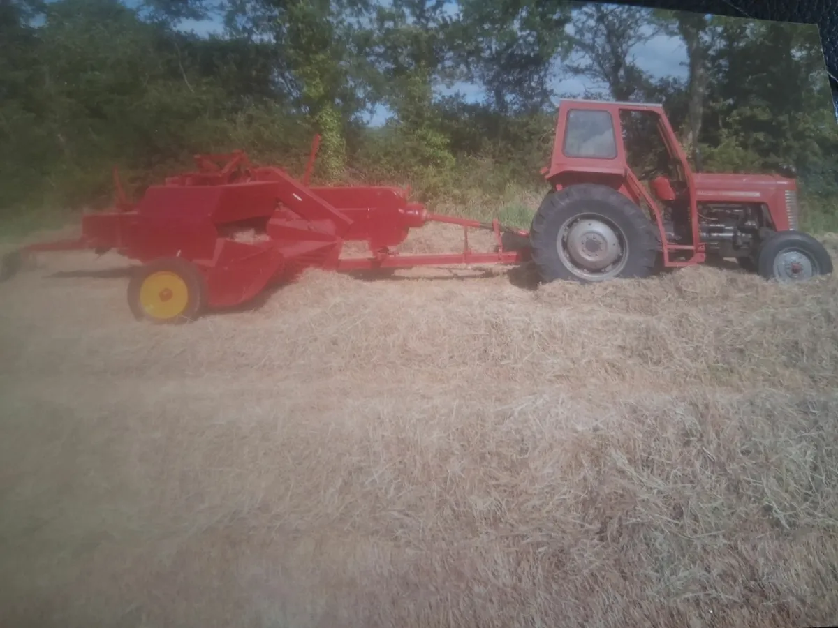 HAY SQUARE BALES - Image 1