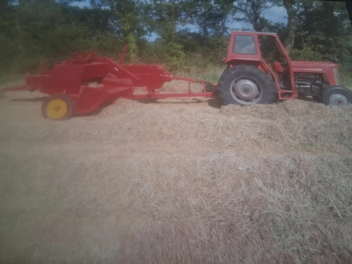 HAY SQUARE BALES - Image 2