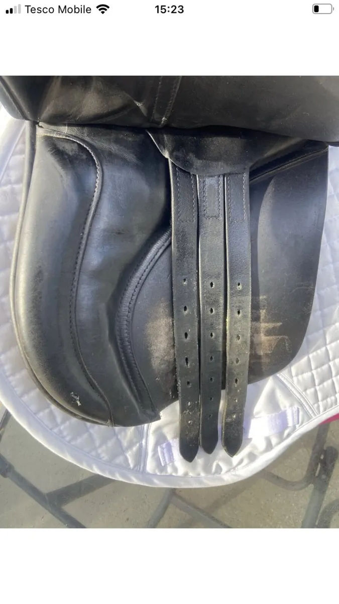 Saddle - Image 3