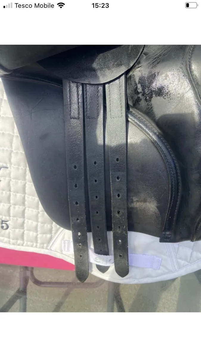 Saddle - Image 4