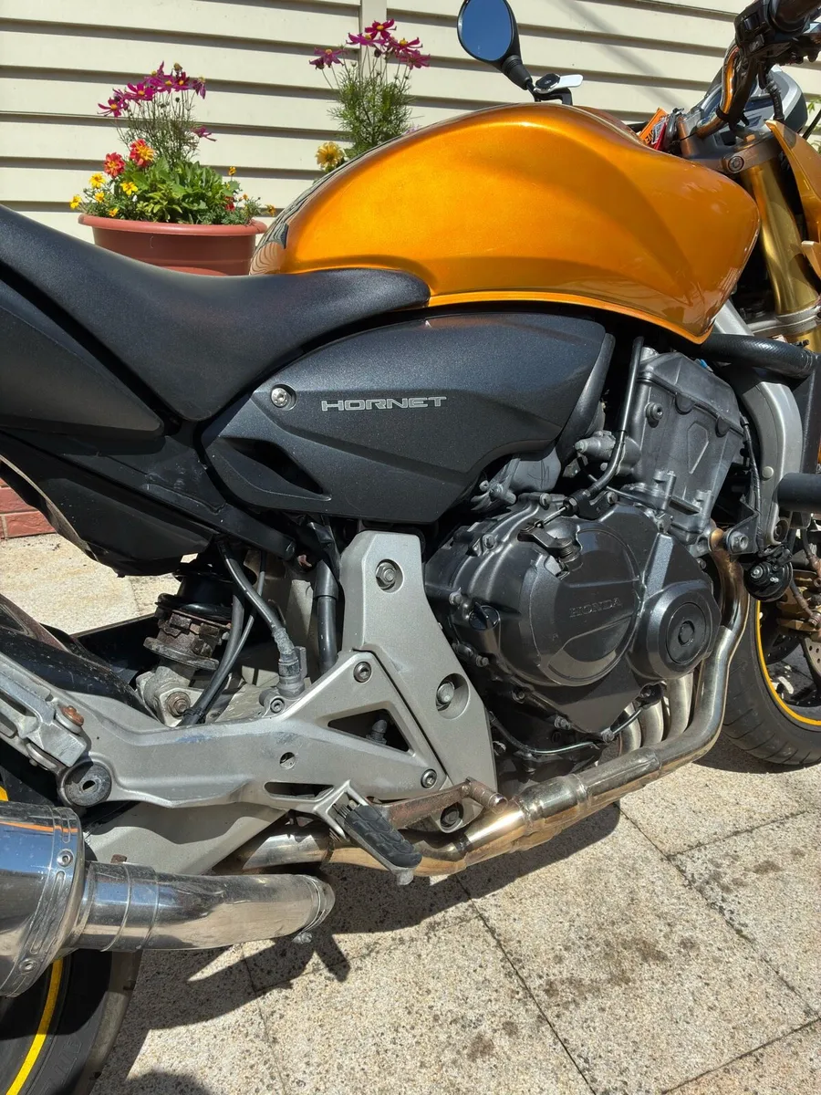 Honda CB 600F Hornet ABS - Taxed 05/26 - Image 3