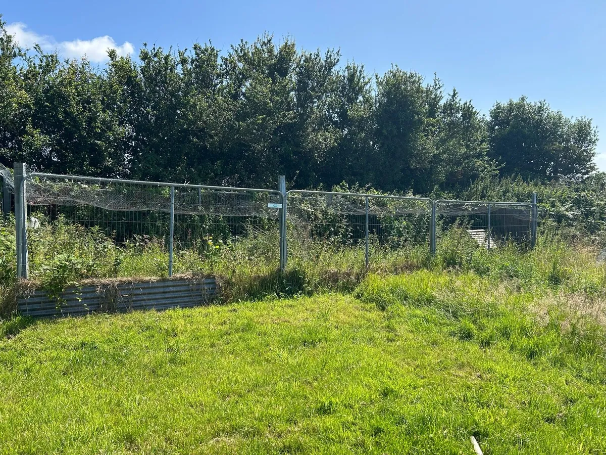 Fencing panels and posts - Image 1