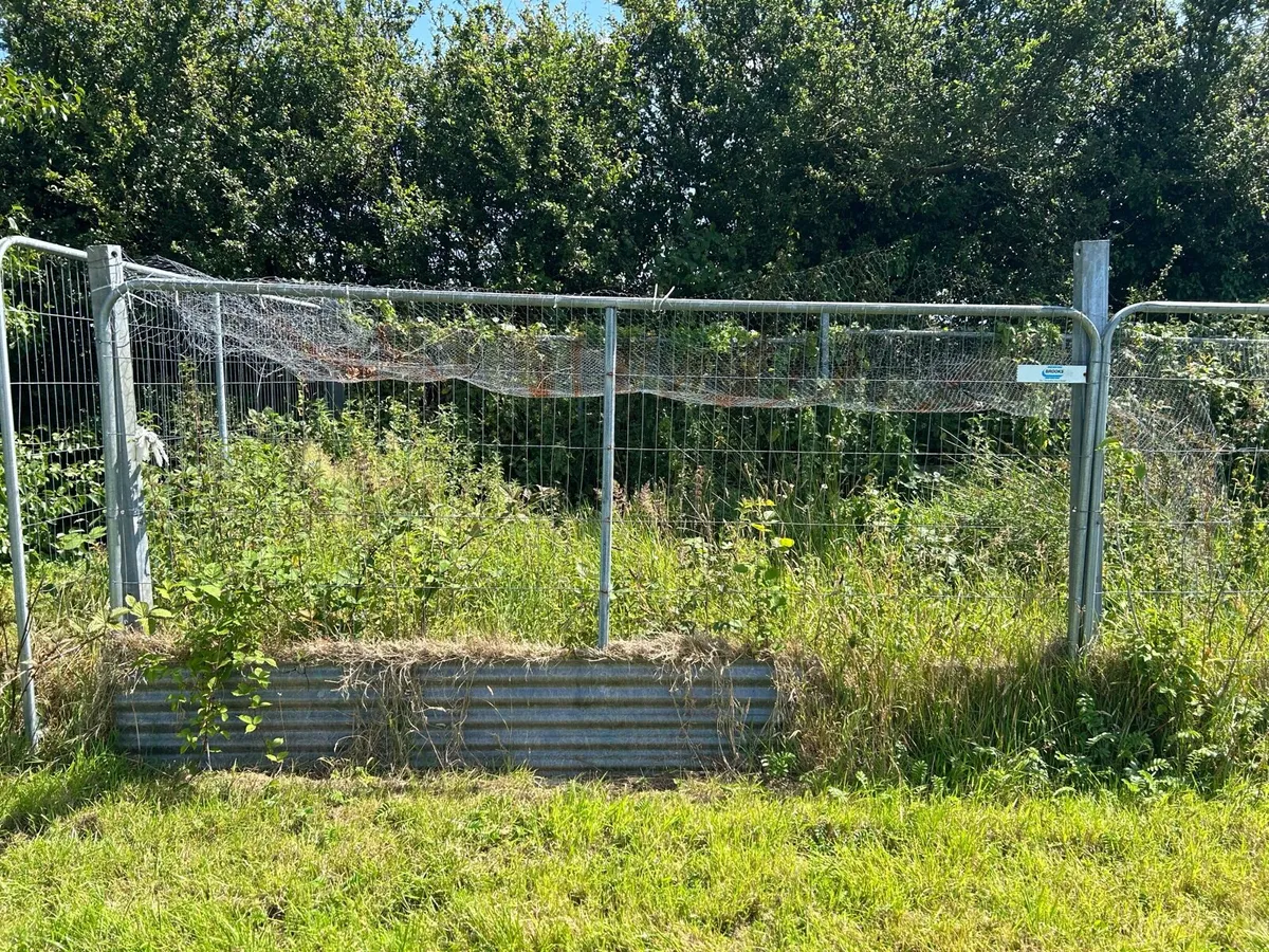 Fencing panels and posts - Image 2