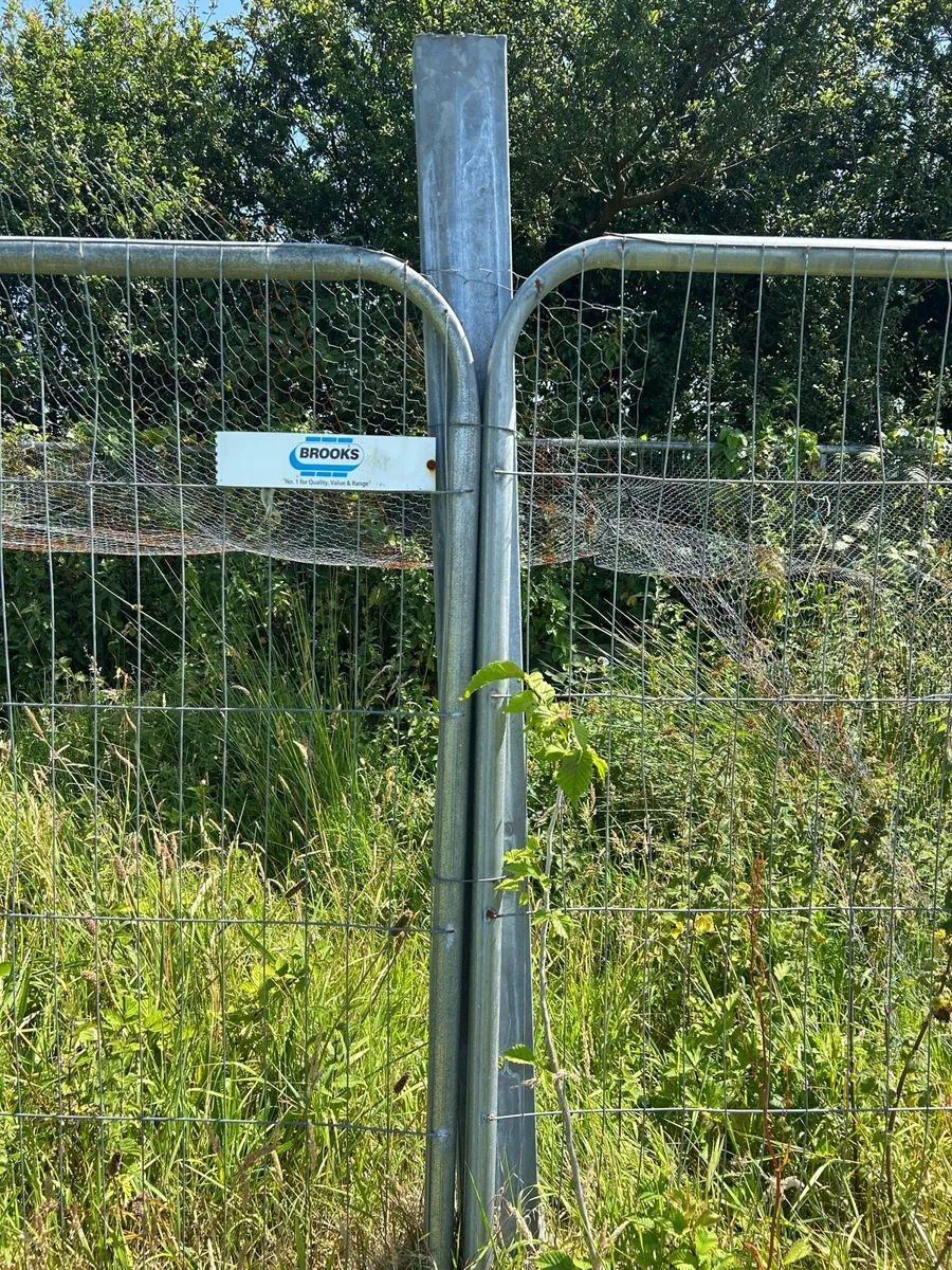 Fencing panels and posts - Image 3