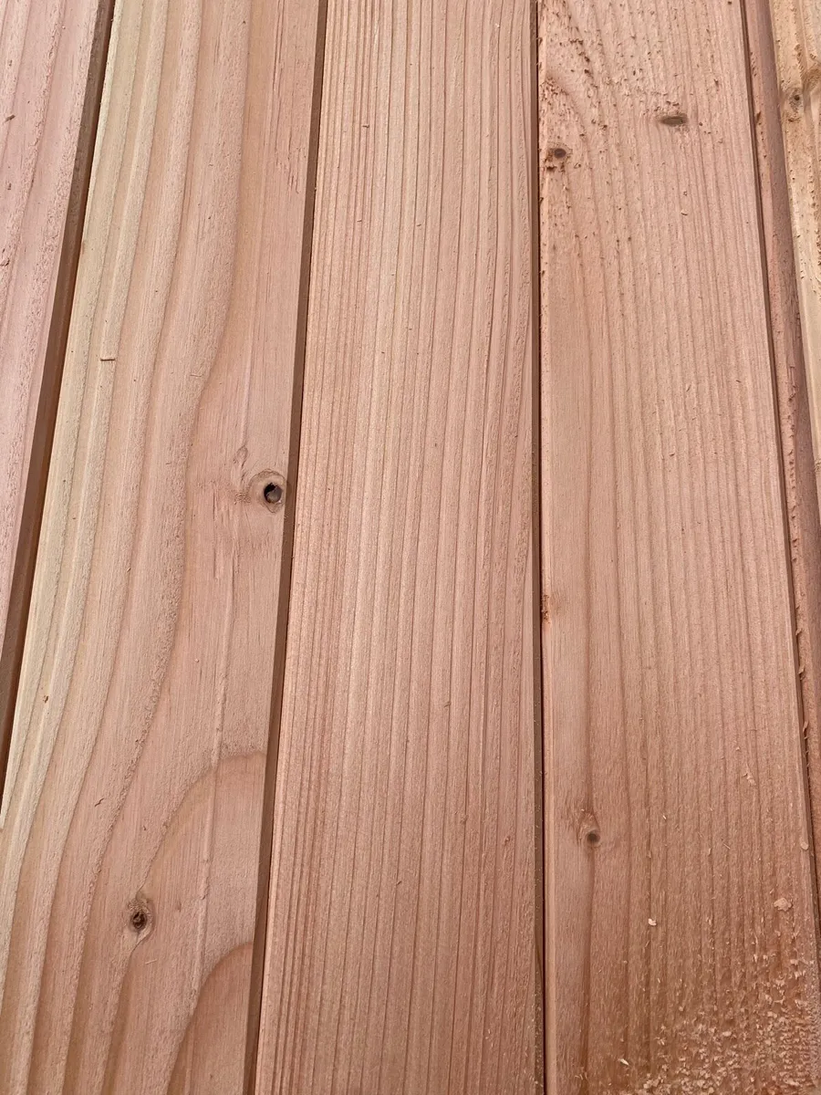 Douglas fir tgv - Image 1