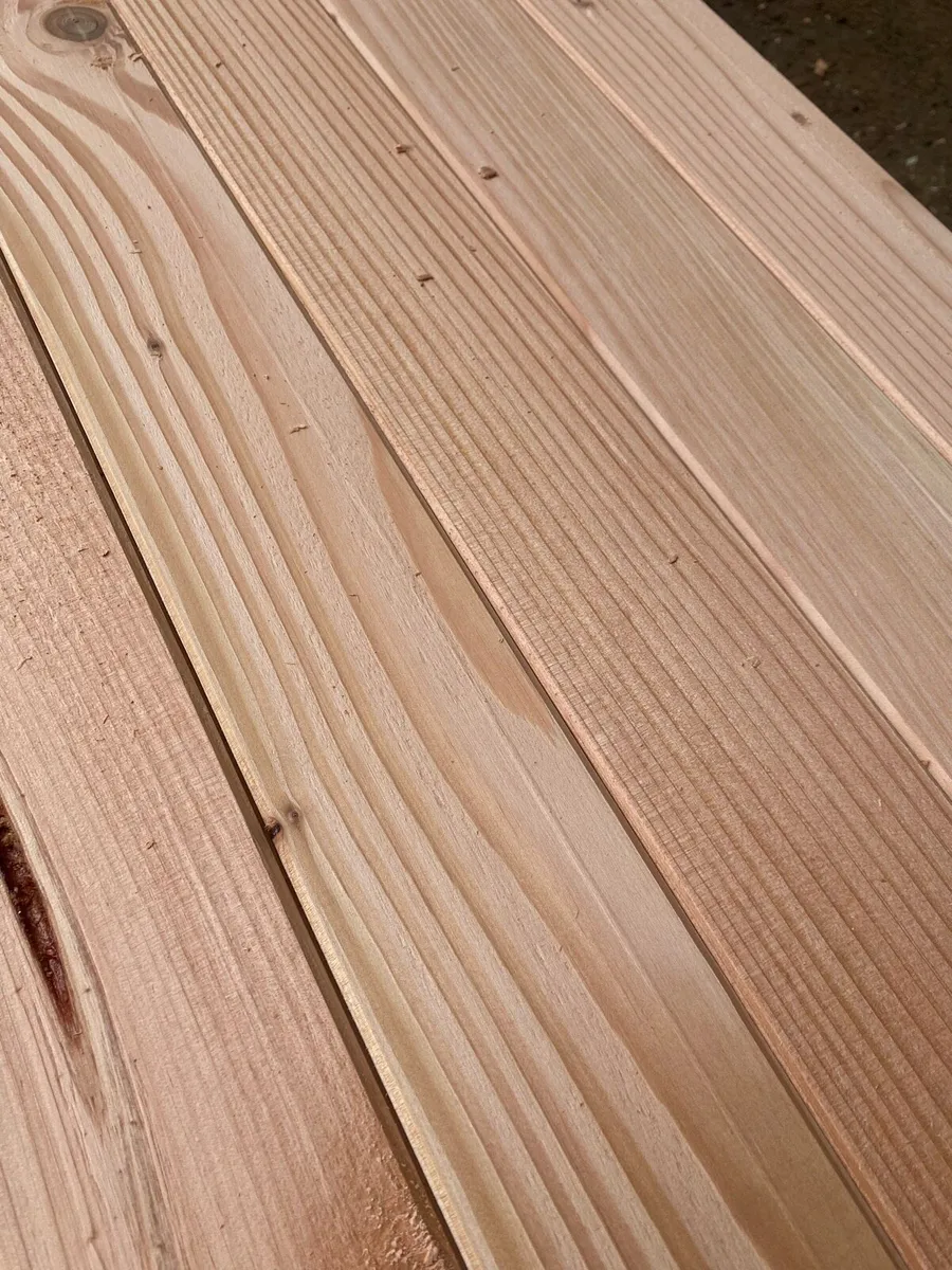 Douglas fir tgv - Image 2