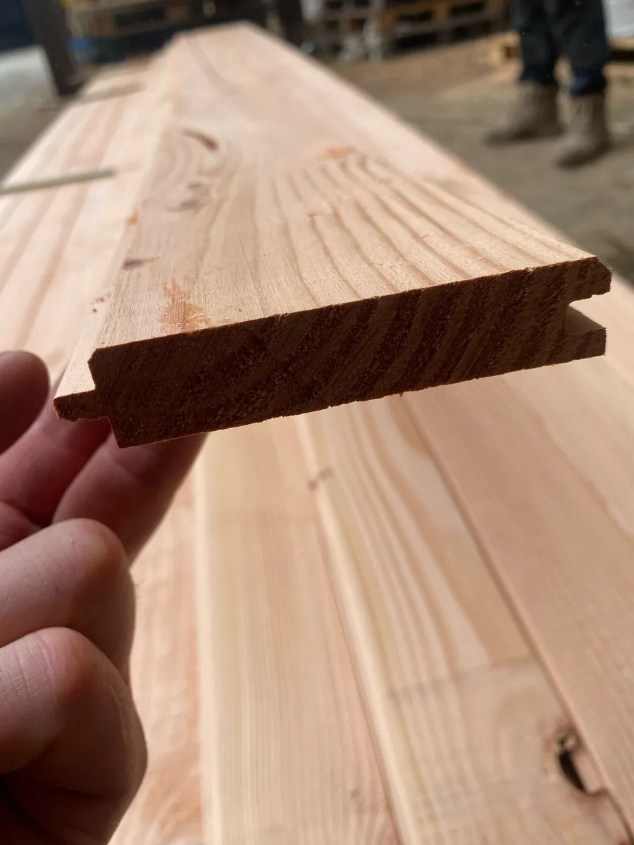 Douglas fir tgv - Image 3