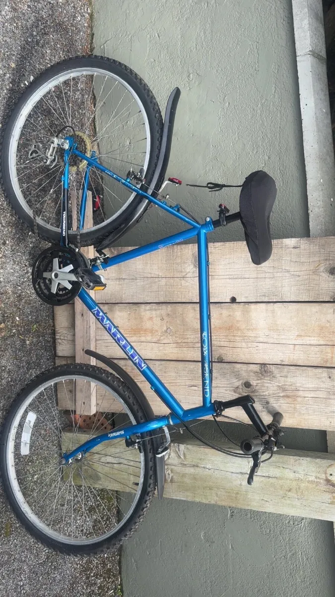 Men’s large mountain bike - Image 1