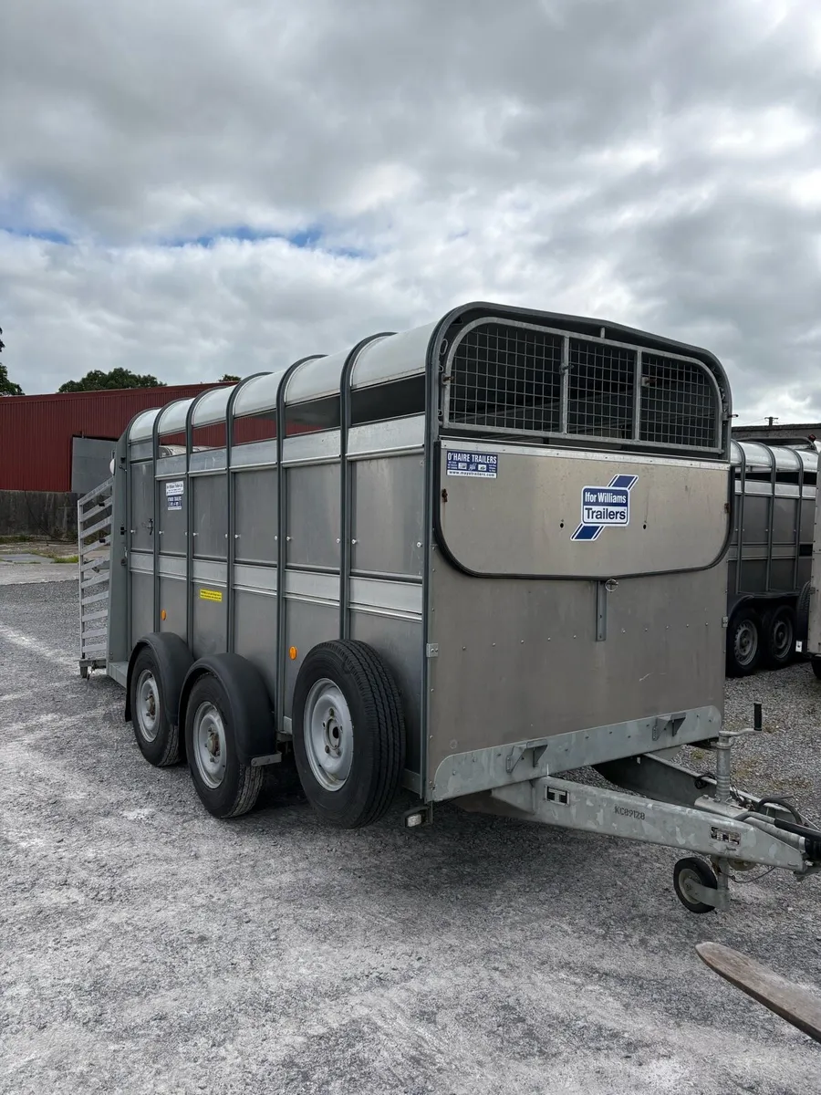Ifor Williams - Image 1