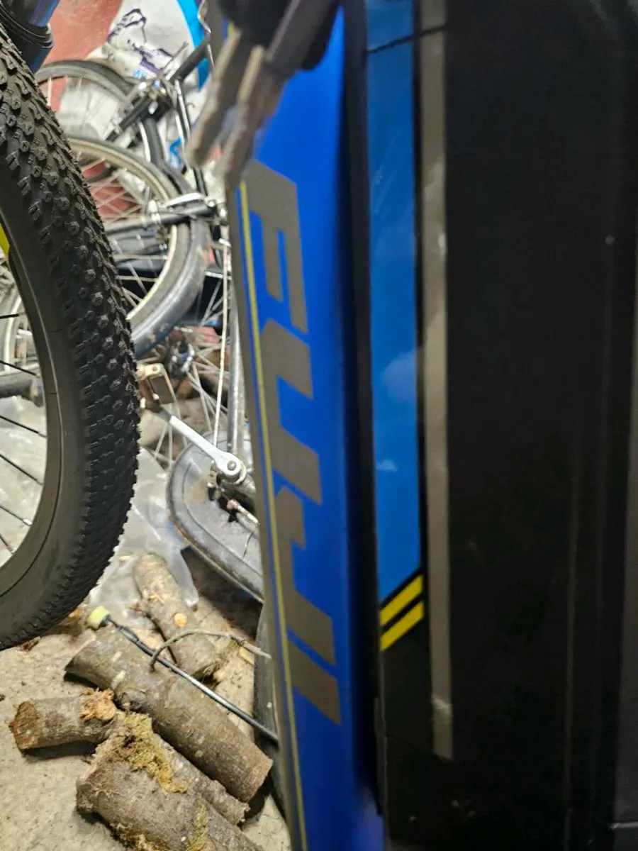 Electric bike - Image 2