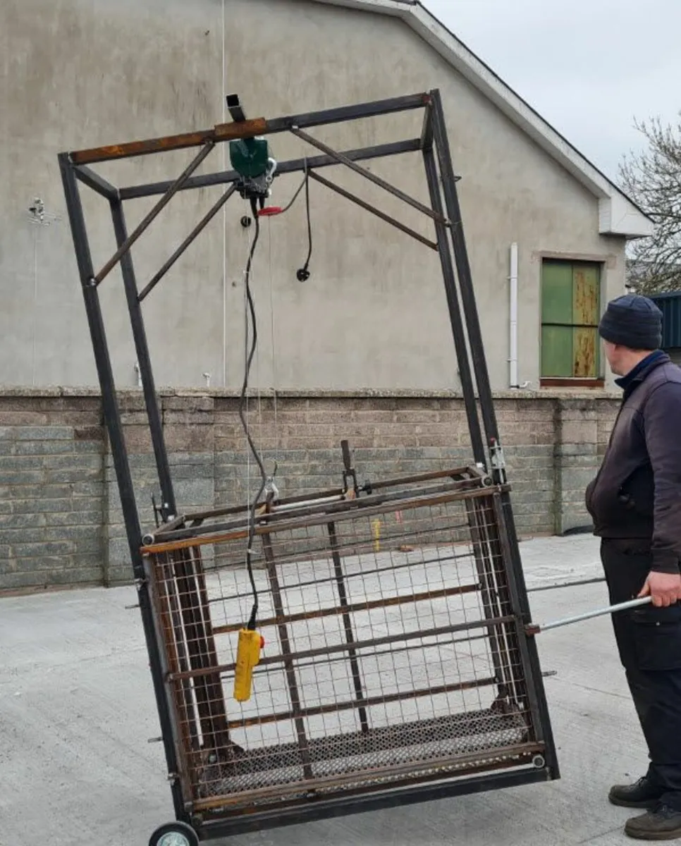 LIFTING CAGE - Image 3