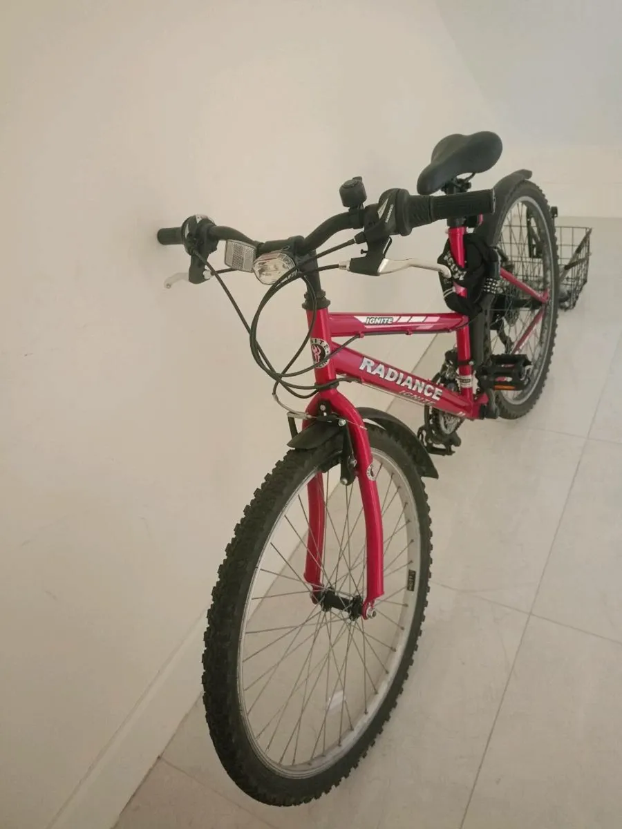 Adult Bike - Image 1