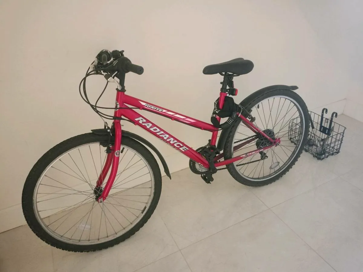 Adult Bike - Image 2