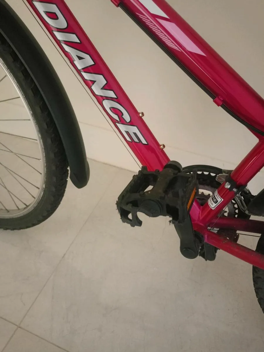 Adult Bike - Image 3