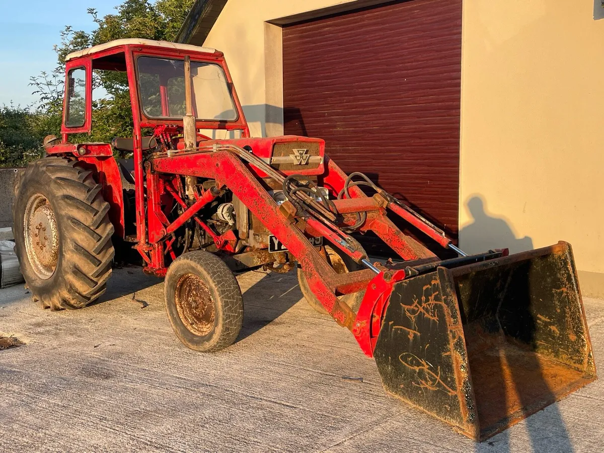 Massey 165 with loader and quick attach bucket - Image 1