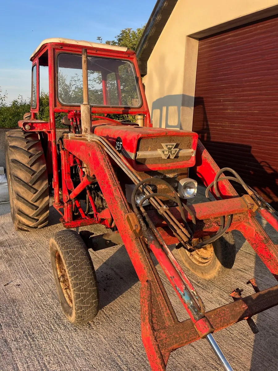 Massey 165 with loader and quick attach bucket - Image 2