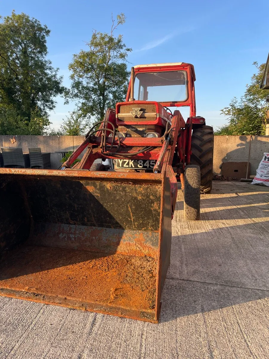 Massey 165 with loader and quick attach bucket - Image 3