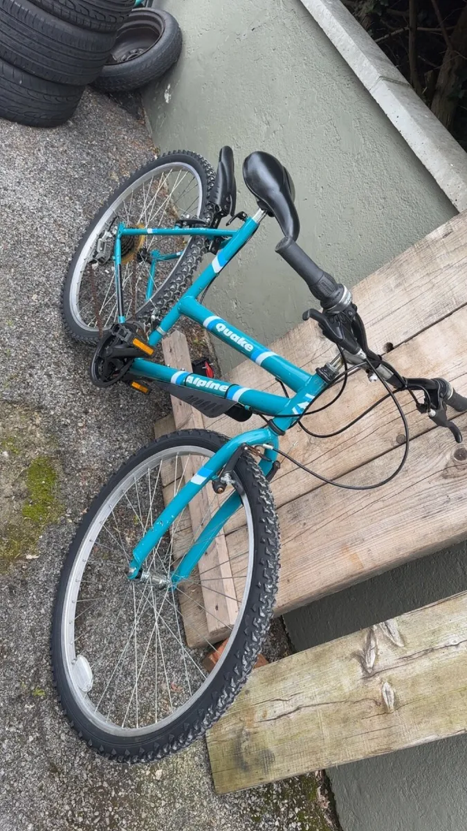 Unisex bike - Image 1