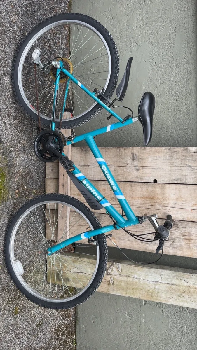 Unisex bike - Image 2