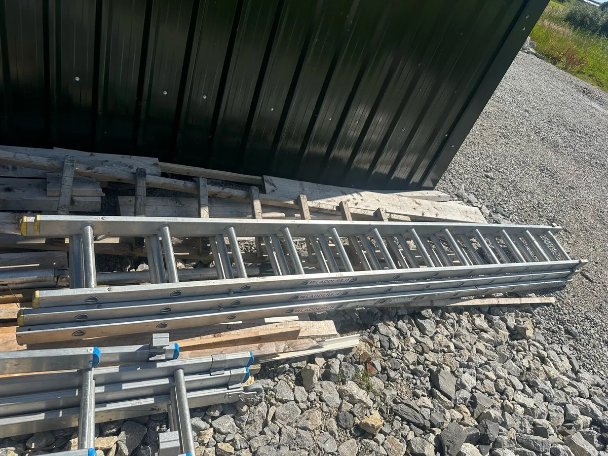 Nail guns & ladder - Image 1