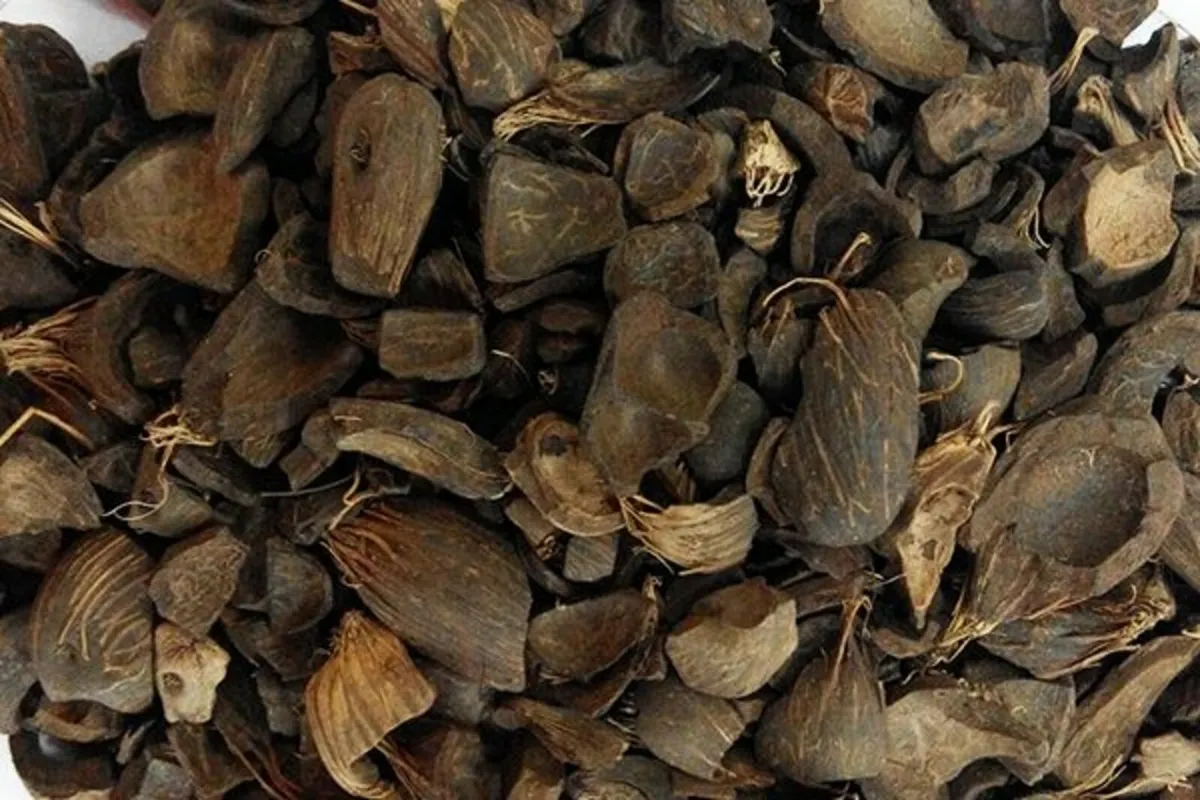 Premium Palm Kernel Shell (PKS)