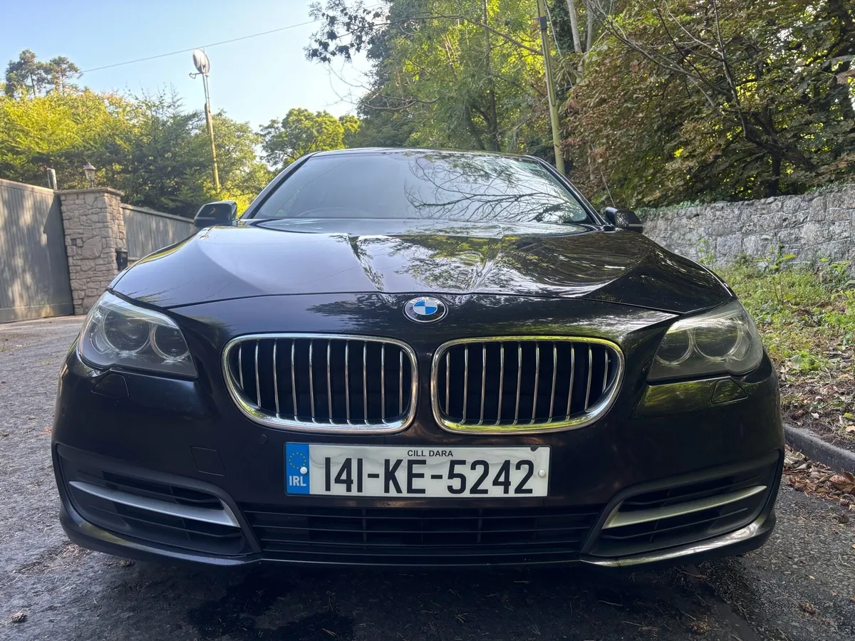 BMW 530 D SE IMMACULATE CONNDITION - Image 2