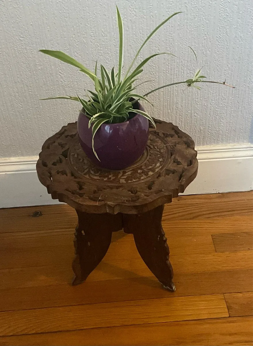 Vintage Hand Carved Decorative Wood Plant Stand - Image 1