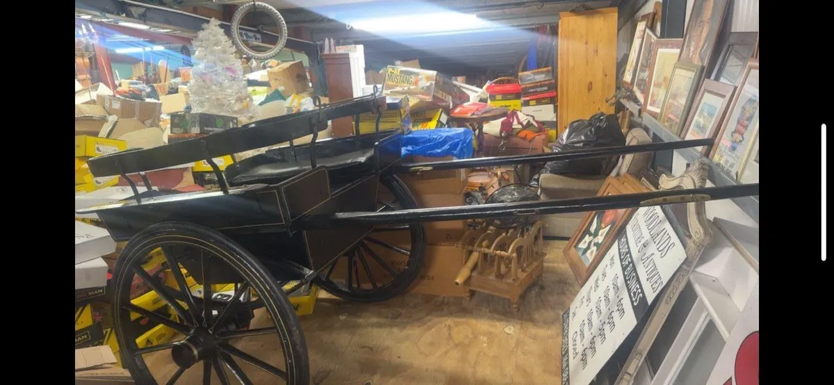 Pony cart - Image 1