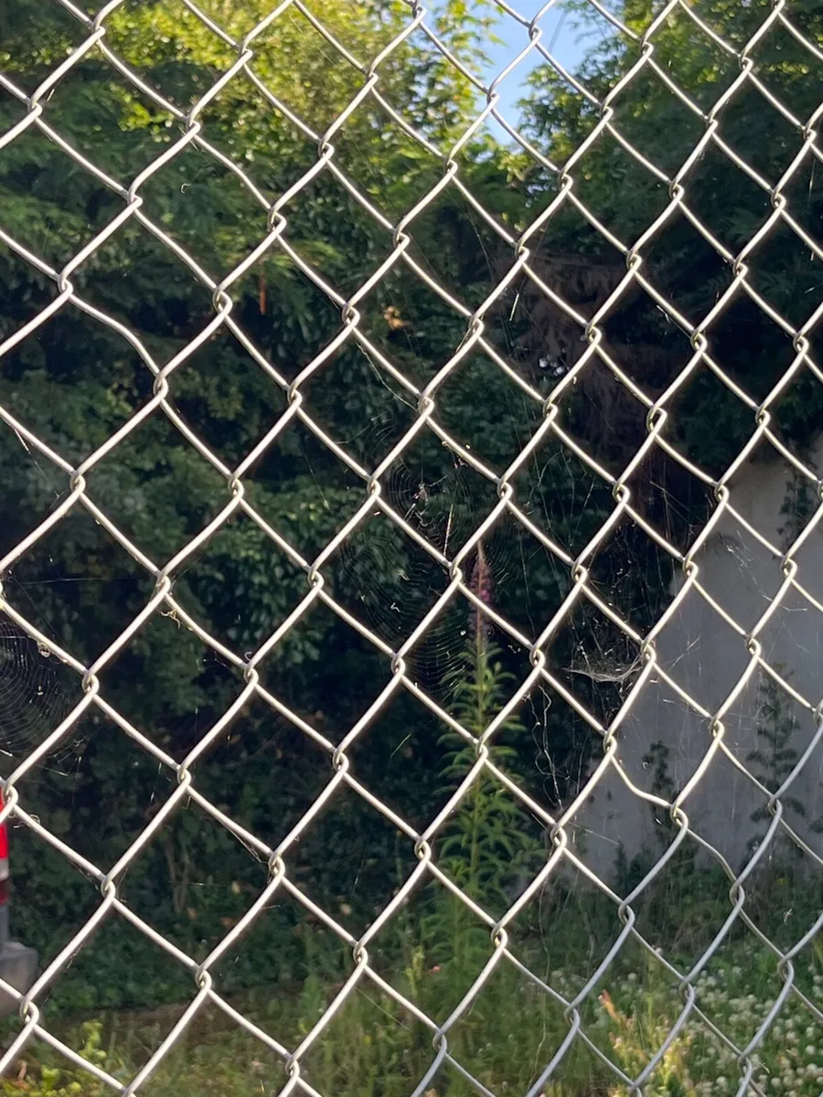 Chain link fence - Image 2