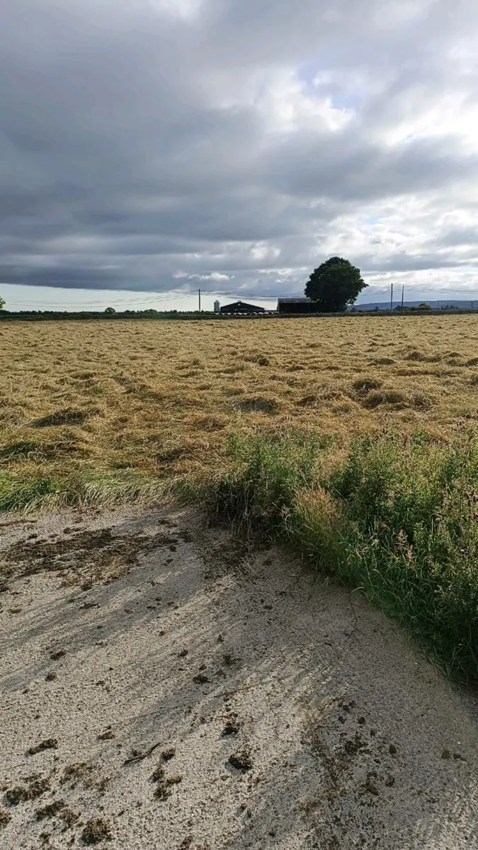 Organic square bales will be baled Friday the 11th - Image 2