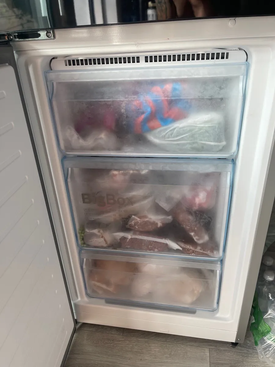 Bosch Fridge & Freezer - Image 3