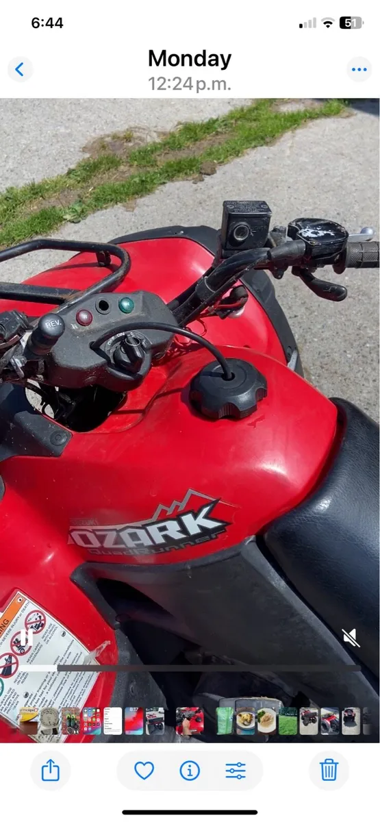 Suzuki Ozark 250 Quad - Image 1