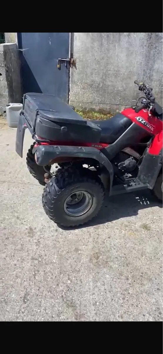 Suzuki Ozark 250 Quad - Image 2