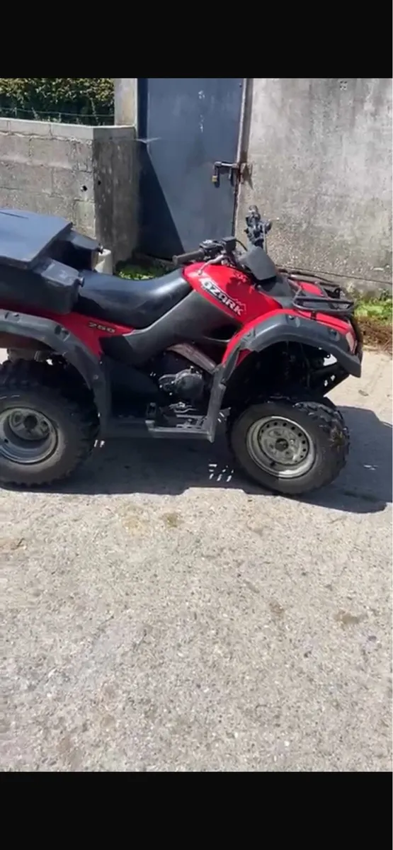 Suzuki Ozark 250 Quad - Image 3
