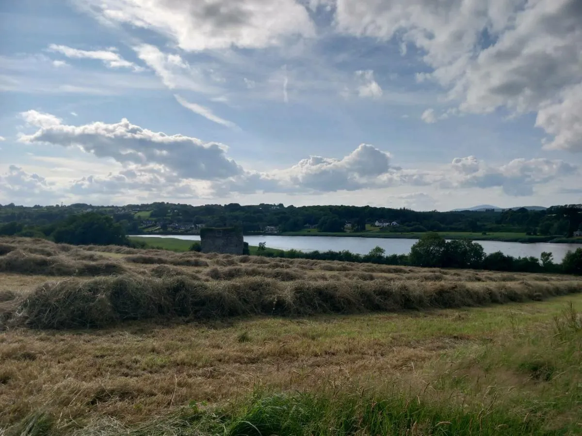 Hay - Image 1