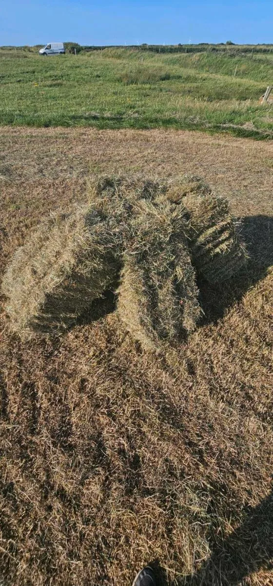 Small Square Bales Of Hay €5 - Image 1