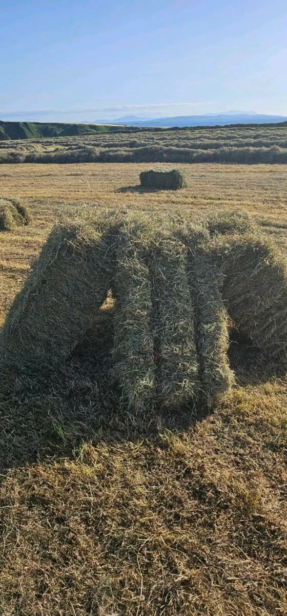 Small Square Bales Of Hay €5 - Image 2
