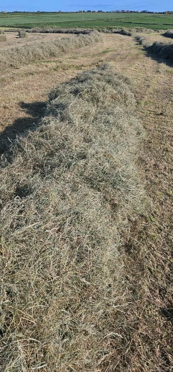 Small Square Bales Of Hay €5 - Image 3