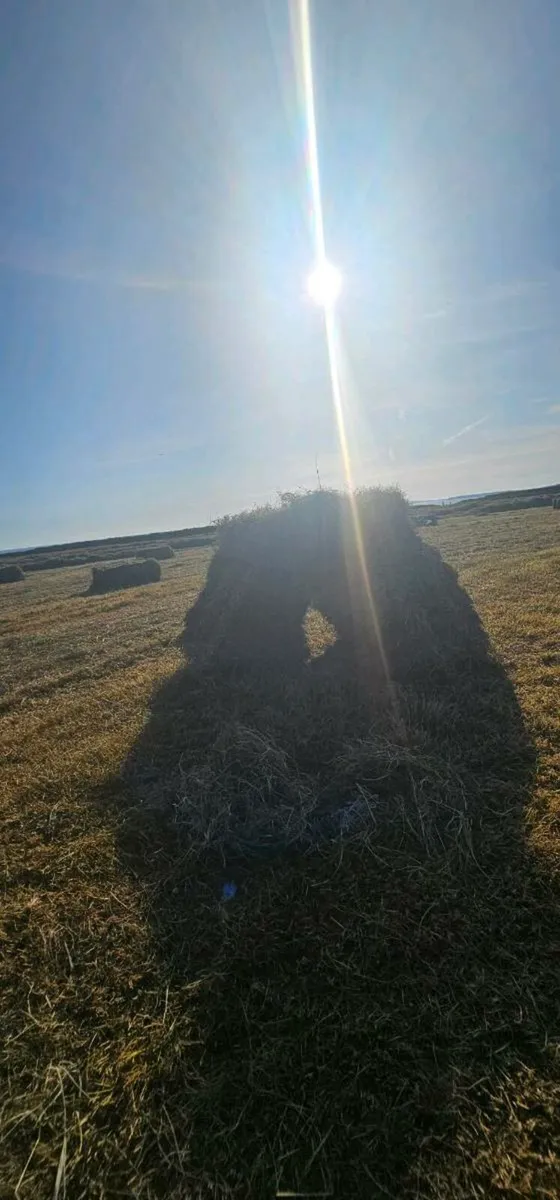 Small Square Bales Of Hay €5 - Image 4