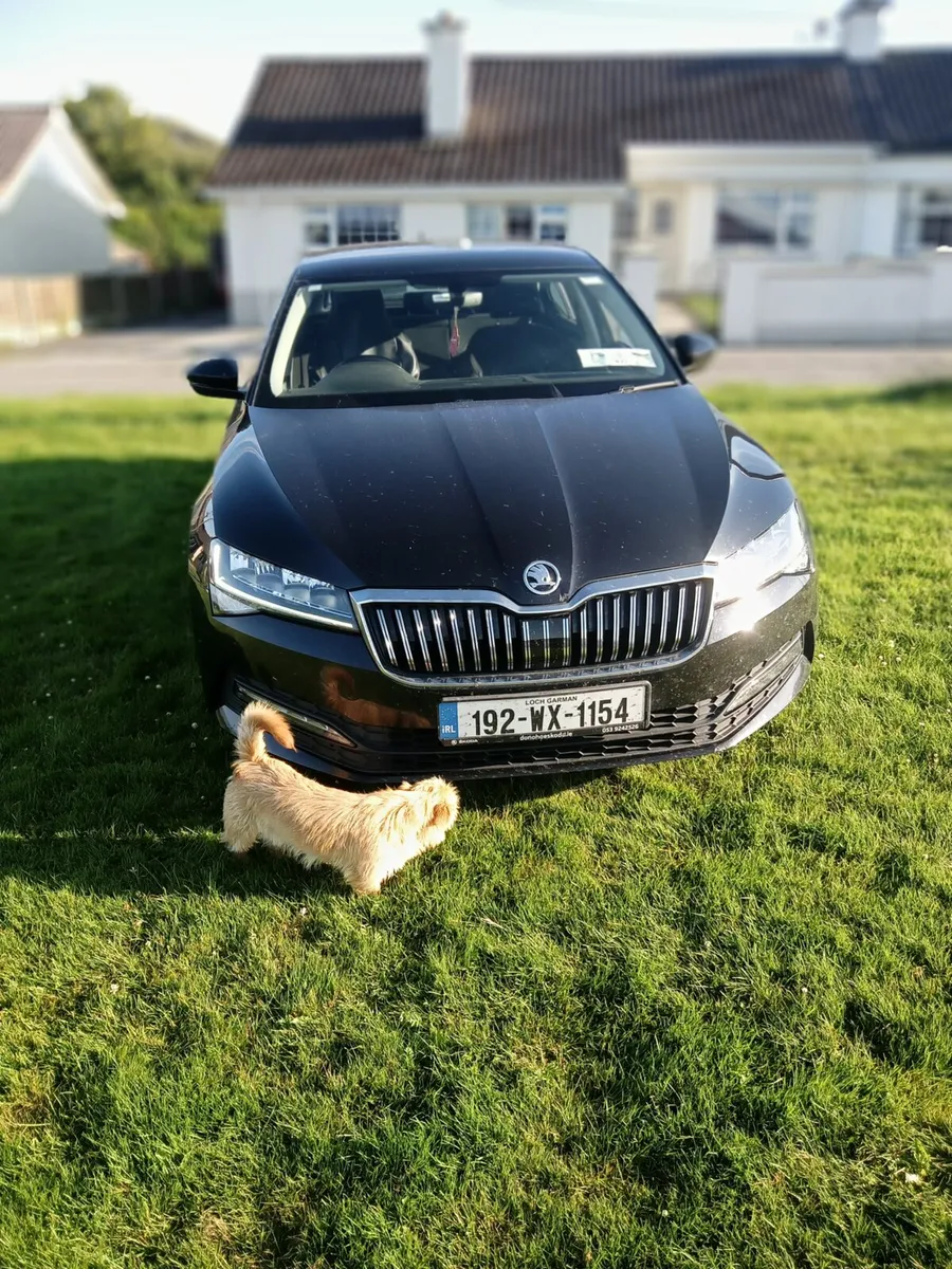 Skoda Superb - Image 4