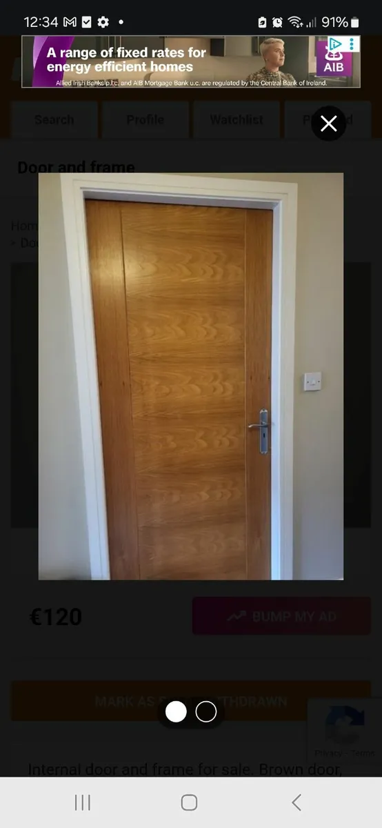 Door and frame - Image 1