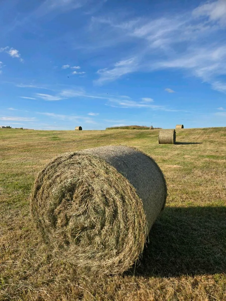 Hay Bales